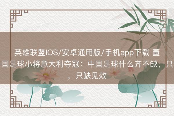 英雄联盟IOS/安卓通用版/手机app下载 董路谈中国足球小将意大利夺冠：中国足球什么齐不缺，只缺见效