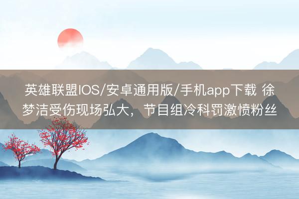 英雄联盟IOS/安卓通用版/手机app下载 徐梦洁受伤现场弘大，节目组冷科罚激愤粉丝