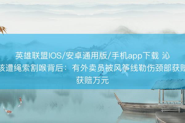 英雄联盟IOS/安卓通用版/手机app下载 沁阳男孩遭绳索割喉背后：有外卖员被风筝线勒伤颈部获赔万元